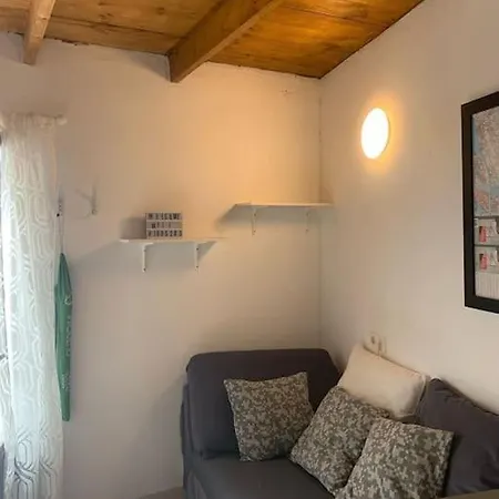 Apartament Pitaya